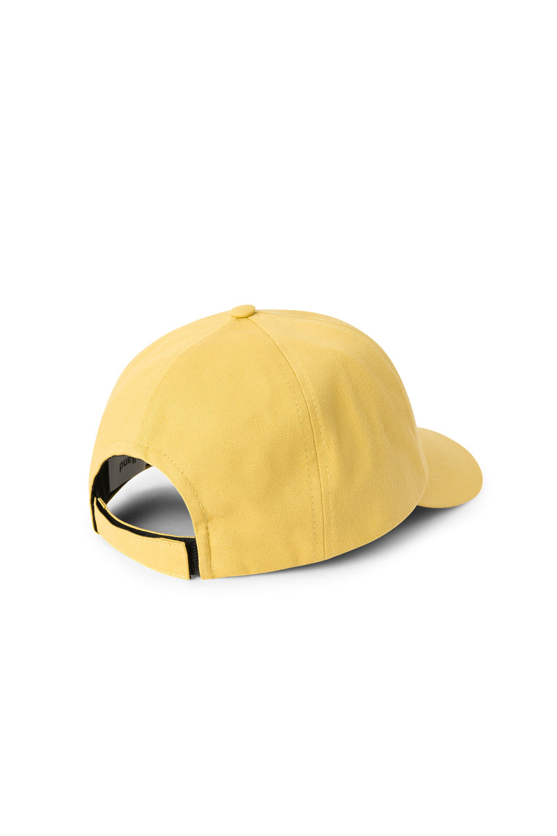 IDE cap logo — alternate view