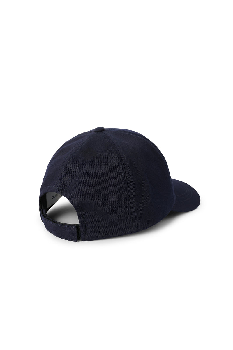 IDE cap logo — alternate view