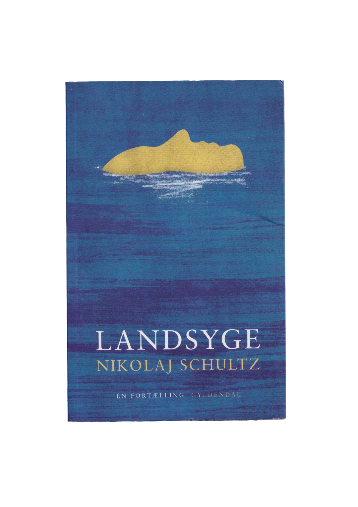 Landsyge