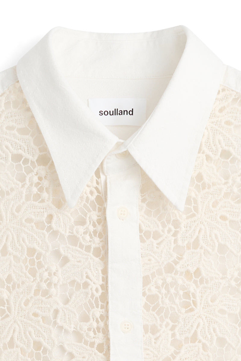 RADO shirt — alternate view
