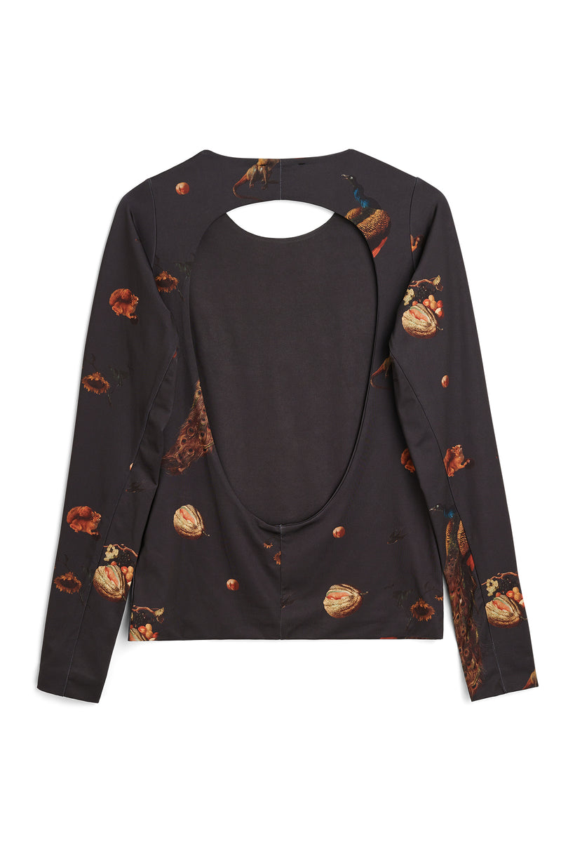 ROCA top — alternate view